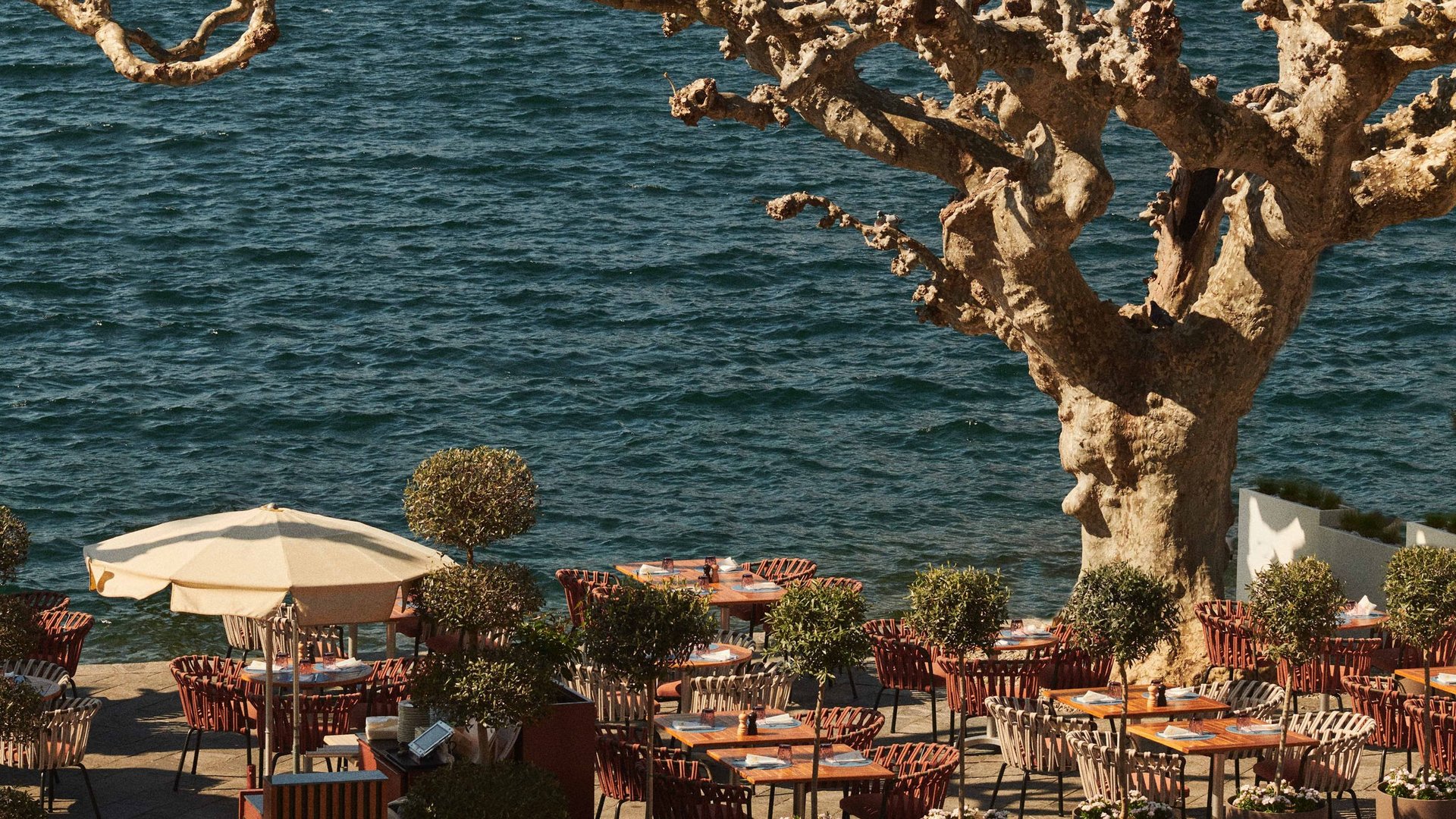 Votre hôtel préféré dans le Tessin – directement au lac Votre hôtel préféré dans le Tessin – directement au lac