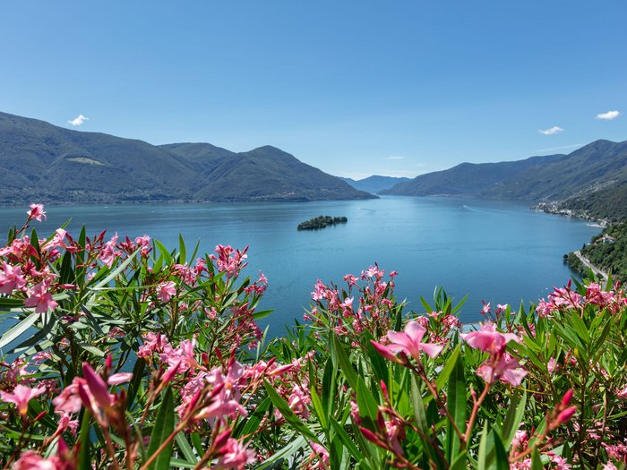 Flower power around Lake Maggiore Flower power around Lake Maggiore