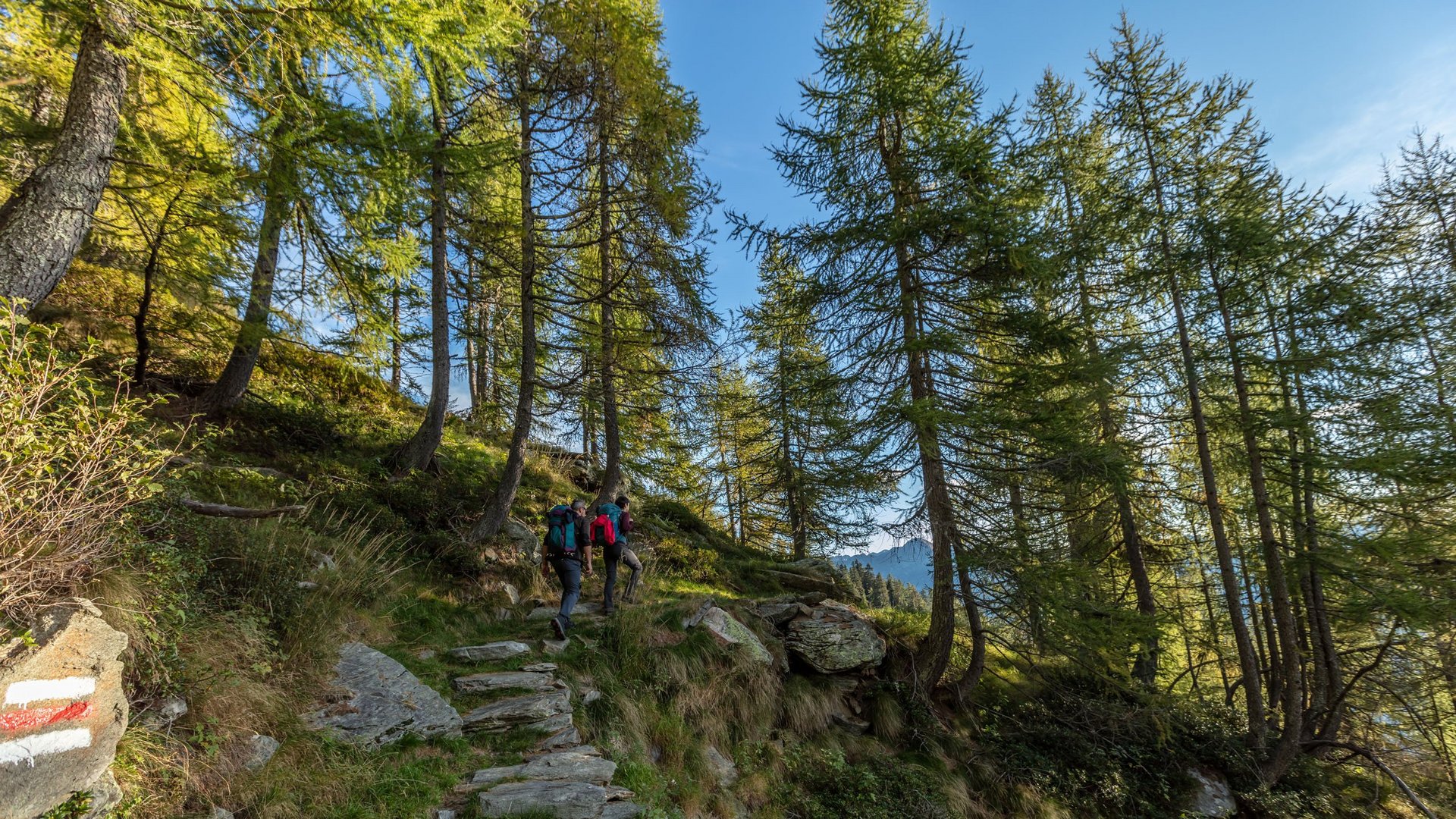 Hiking in Lenzerheide