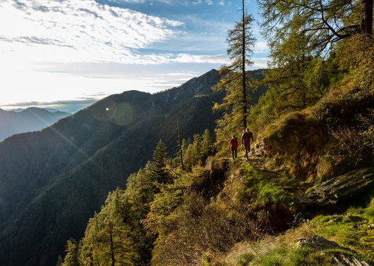 Wandern in Lenzerheide Wandern in Lenzerheide