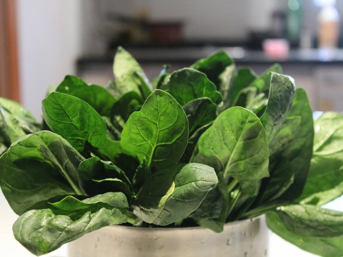 Die besten Blattspinat-Rezepte Die besten Blattspinat-Rezepte