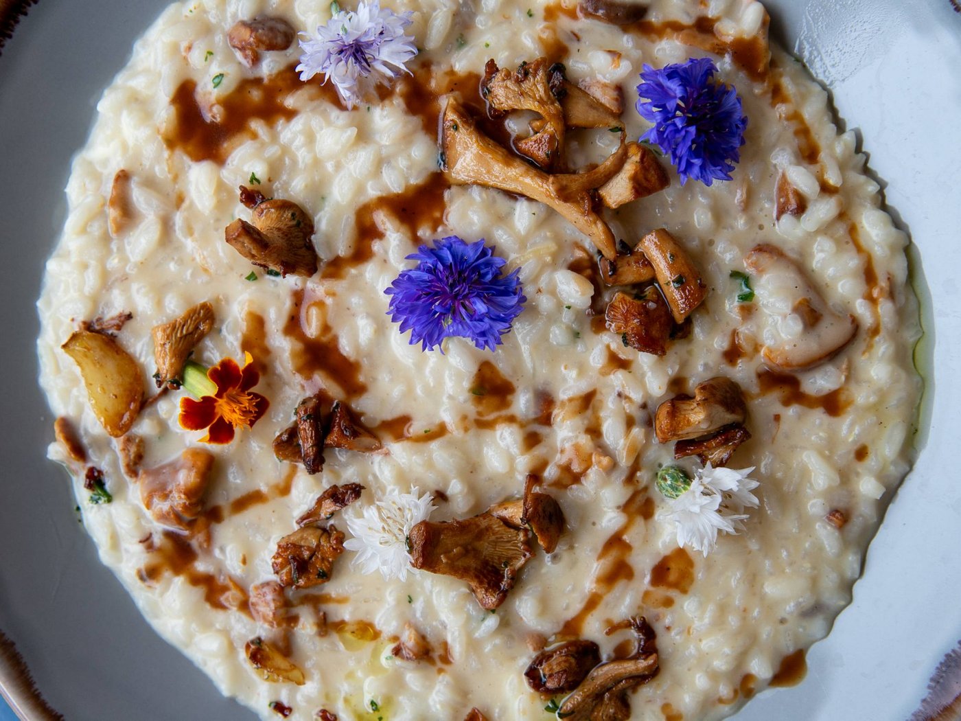 Cartoline dal Vista, il vostro hotel sul Lago Maggiore Cartoline dal Vista, il vostro hotel sul Lago Maggiore