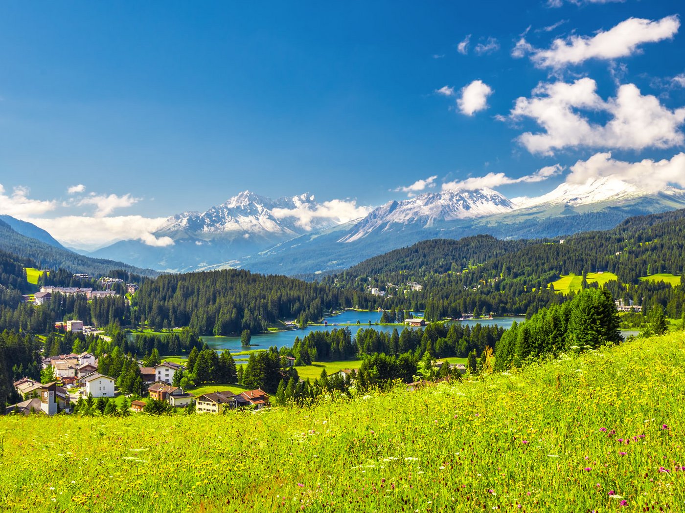 Cartoline dal Vista, il vostro hotel sul Lago Maggiore Cartoline dal Vista, il vostro hotel sul Lago Maggiore