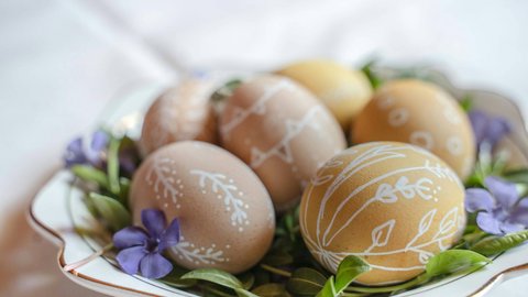 News con l’inconfondibile tocco del Vista News con l’inconfondibile tocco del Vista