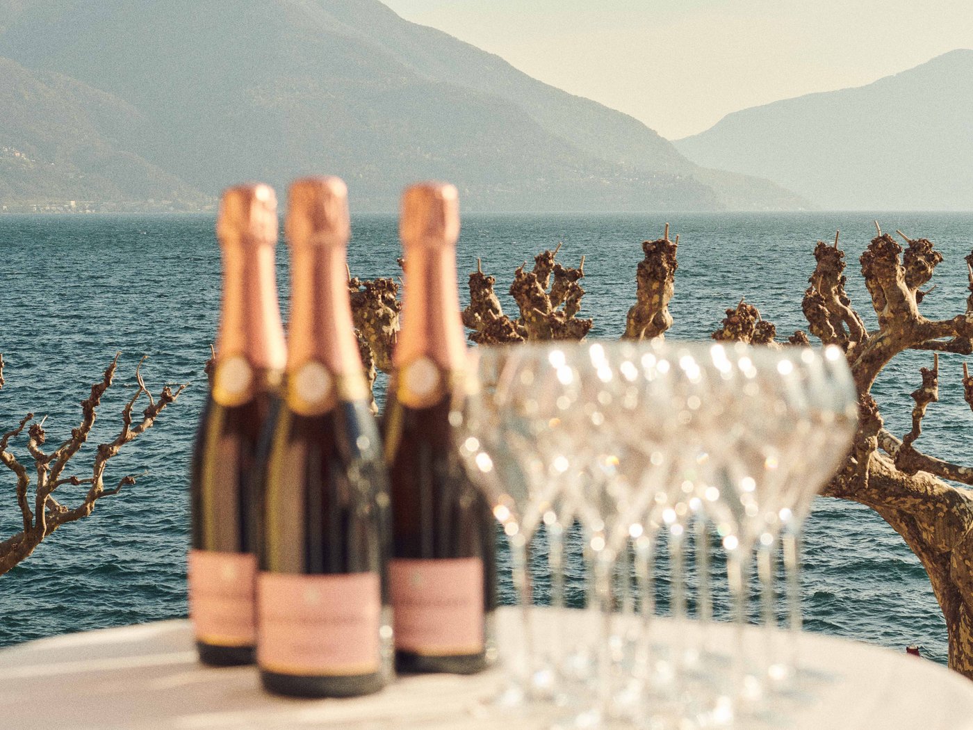 Cartoline dal Vista, il vostro hotel sul Lago Maggiore Cartoline dal Vista, il vostro hotel sul Lago Maggiore