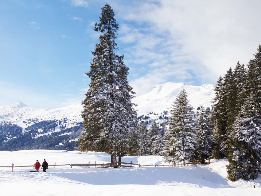 Urlaub im Boutique Hotel im Tessin am See Urlaub im Boutique Hotel im Tessin am See