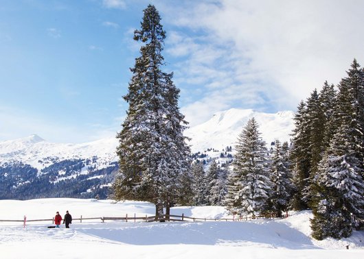 Lenzerheide in Svizzera: tra piste da sci e ristoranti Lenzerheide in Svizzera: tra piste da sci e ristoranti